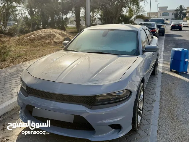 دوج تجارجر وارد كندي
