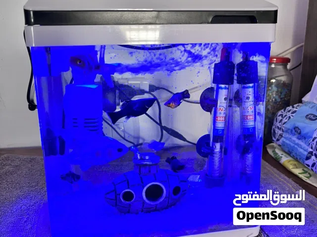حوض سمك امريكي للبيع هو وكامل اغراضه +سمك  اناره من داخل الحوض جميع الالوان
