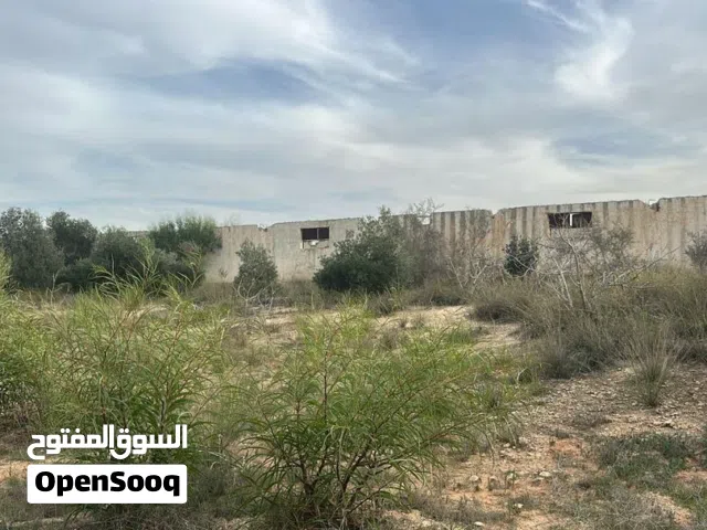 هكتار للبيع ف وادي الربيع نشيع