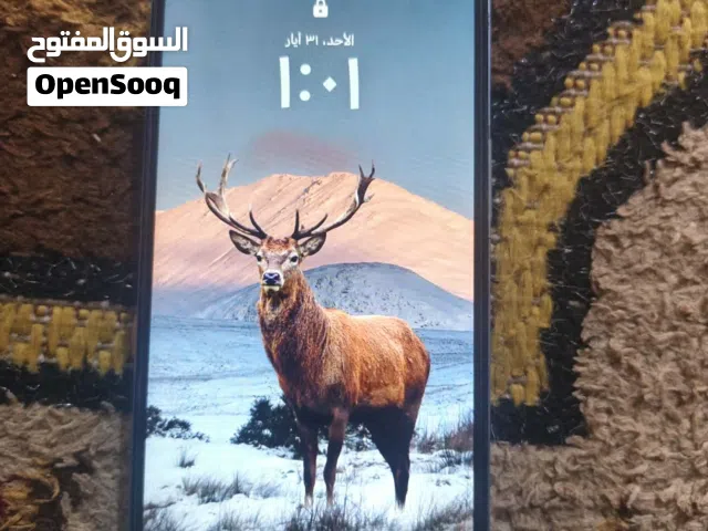 Honor Honor X5 64 GB in Basra