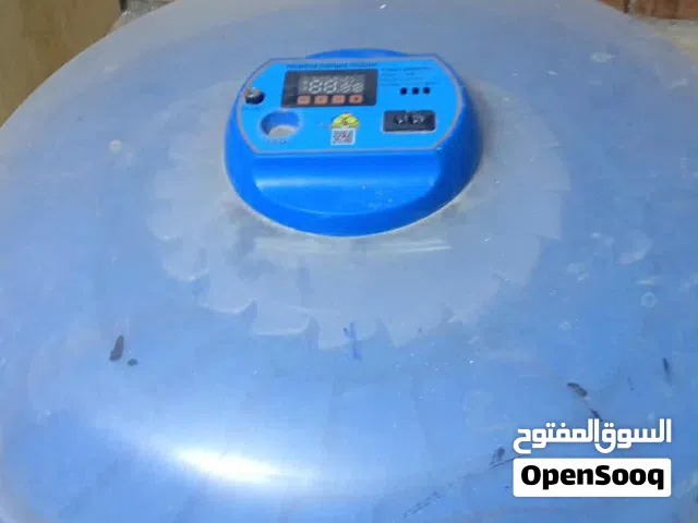 للبيع فقاسه بتوسع 52بيضه