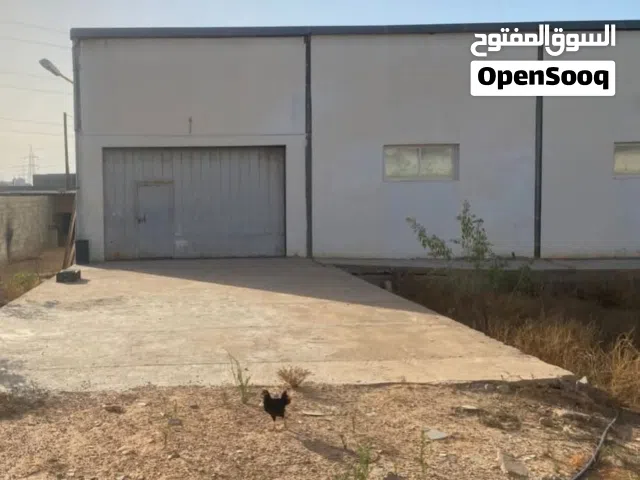 سلام عليكم 3 هناقر جاهزة للبيع