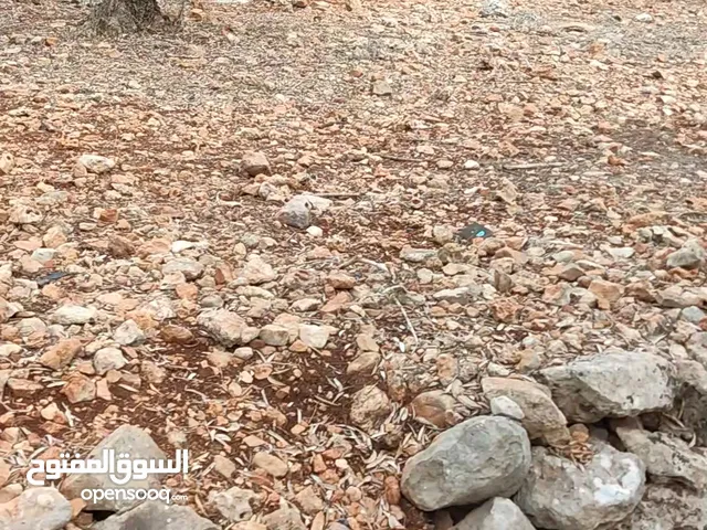 ارض للبيع سلفيت -بروقين
