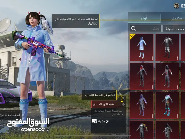 Pubg Accounts and Characters for Sale in Ajman