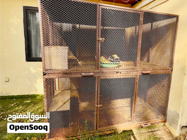 اقفاص عشه كبيره لتربيه الدواجن والاغنام