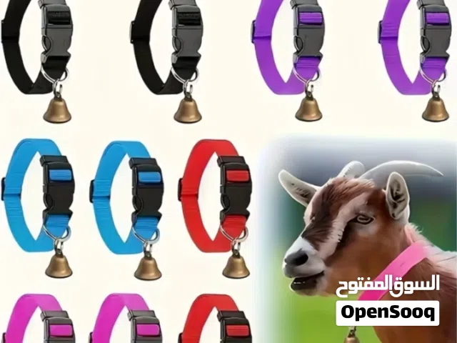 إعلان بيع أطواق للحيوانات مع الجرس