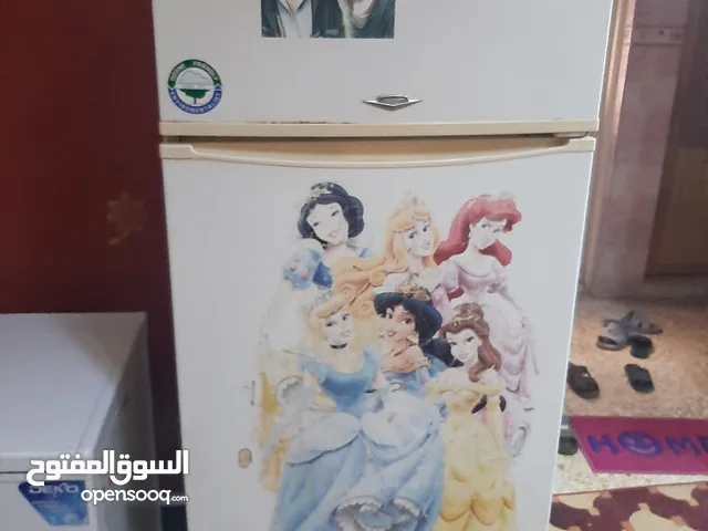 Philips Refrigerators in Basra