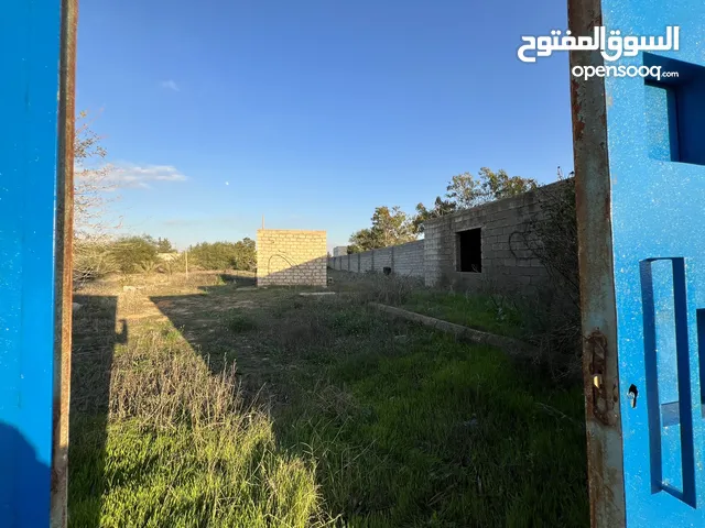 Farm Land for Sale in Tripoli Wadi Al-Rabi