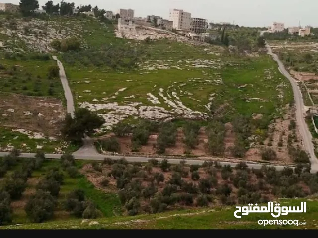 Residential Land for Sale in Irbid Sama Al-Rousan
