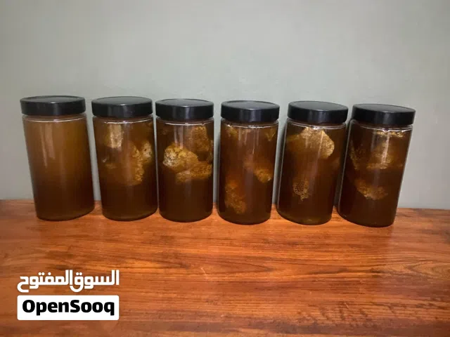 للبيع عسل ابو طويق جبلي حر
