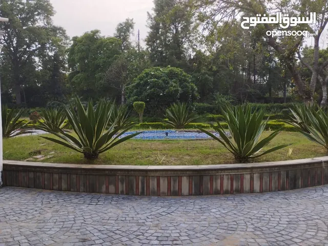 Garden works and pool