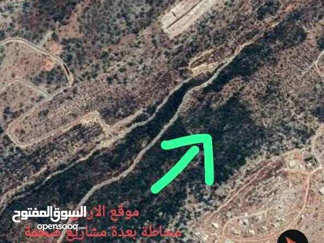 فرصة استمثارية لقطعة ارض مميزة بجانب مشاريع مساحة 26 دونم و 468 متر في قراوة بني زيد كوشان طابو أ