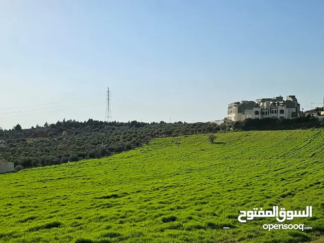 Mixed Use Land for Sale in Amman Al-Quneitirah