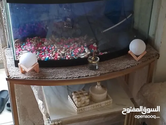 حوض سمك كورنر 85×85 موجود زينة حجار وفلتر ماء وشجر صناعي صحي مع طاولة قاعدة معدن لون ذهبي