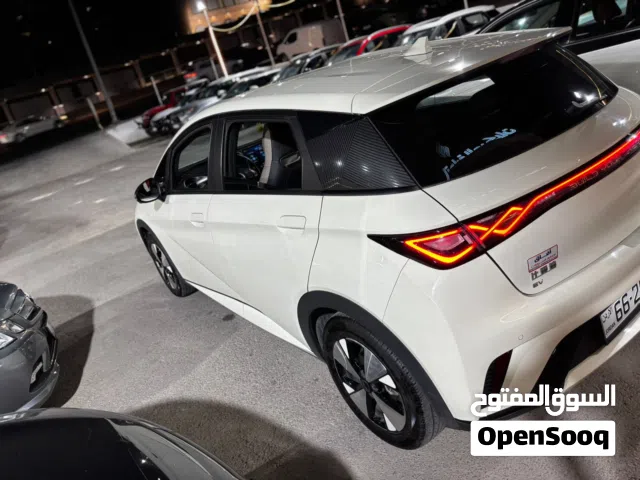 2023 بي واي دي دولفين