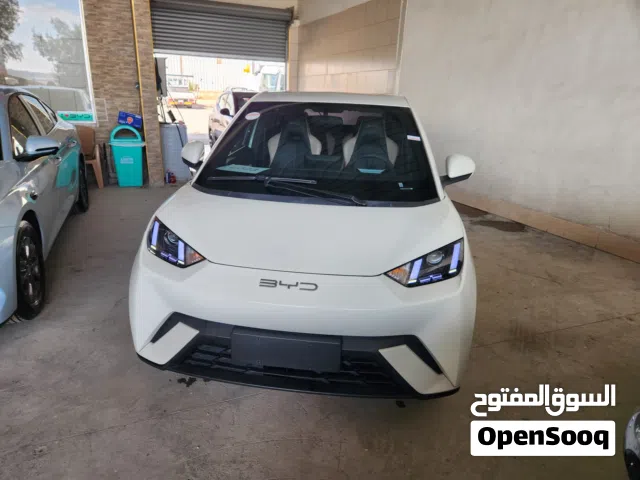 2023, بي واي دي, سيجول