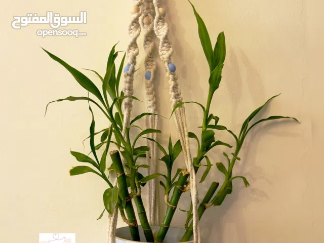 حامل نباتات مصنوعة يدويا