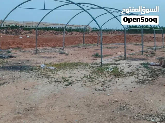 معرشات 2انش، مقلفن