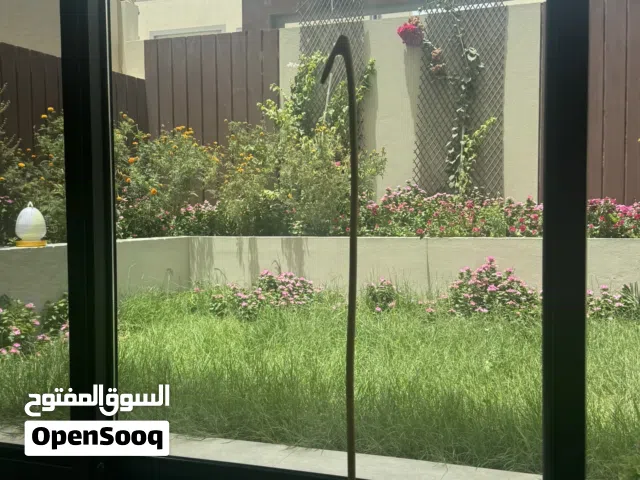 عصا من شجر السدر