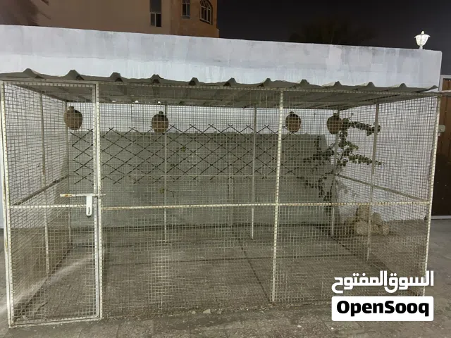 قفاص للطيور مناسب للجميع انواع الطيور مع مساحة كبيرة