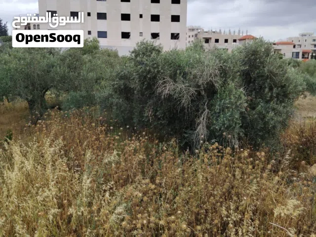 ارض 550 .  بيت  وزن  طابو تصلح لبنايه. سكنيه مطله. كاشفه. بسعر مغري جدا البيع للضروره