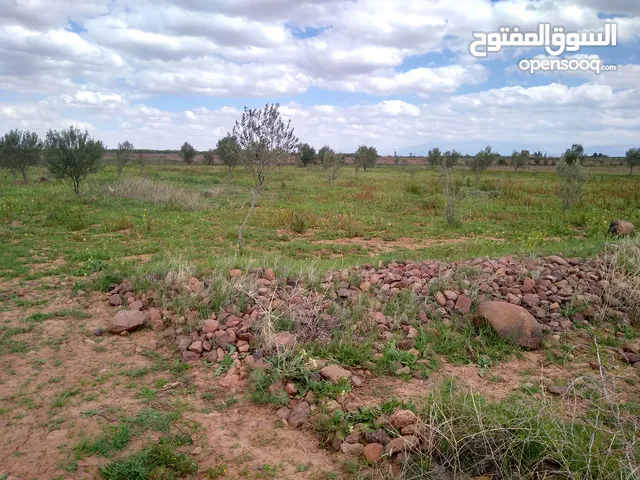 Farm Land for Rent in Marrakesh Route de Tahanaoute