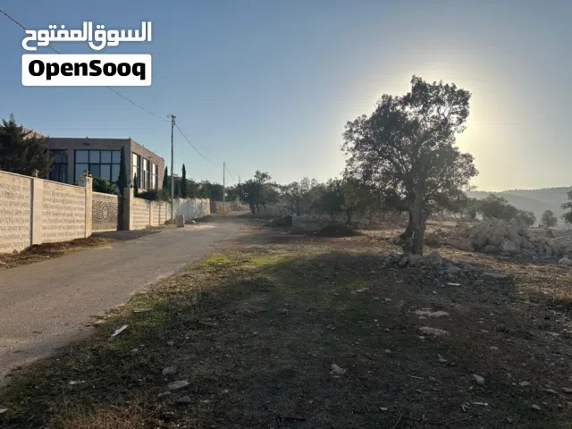 Farm Land for Sale in Zarqa Al-Alouk