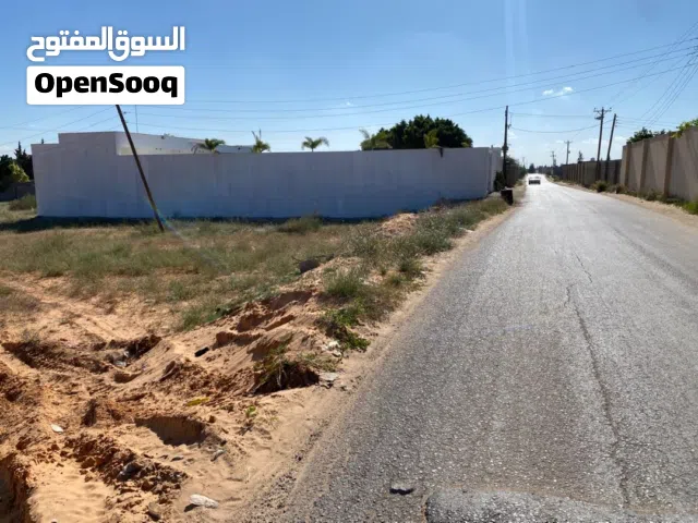 ارظ الف متر عين زاره الباعيش قريبه علي طريق الريسي