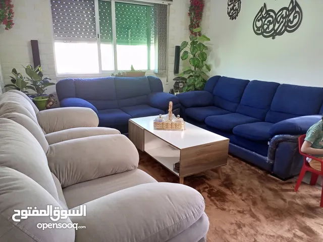 كنب الدب امريكي