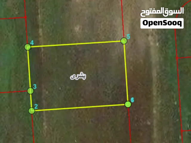 Residential Land for Sale in Irbid Bushra