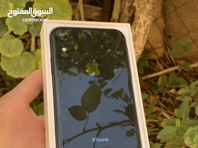 iPhone  xr