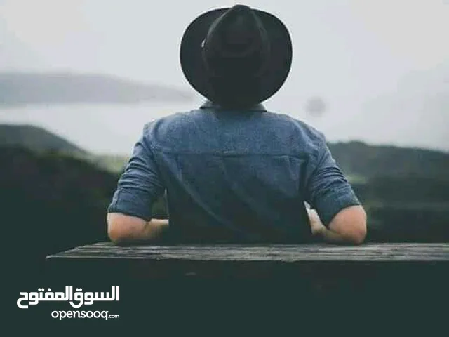 مصطفي محمد