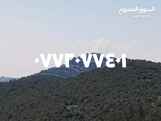 Mixed Use Land for Sale in Ajloun I'bbeen