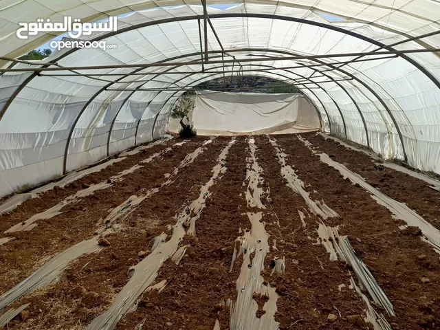 بيت بلاستيك