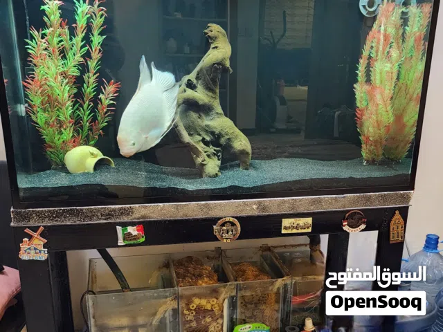 حوض سمك للبيع