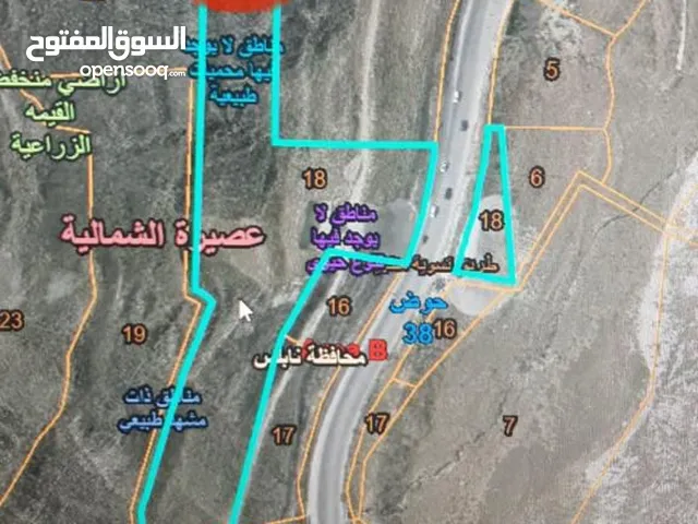 Residential Land for Sale in Nablus Asira Ash-Shamaliya
