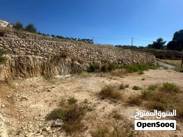 Mixed Use Land for Sale in Hebron Nuba