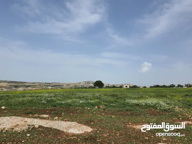 Residential Land for Sale in Irbid Taqbal