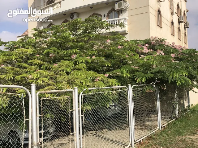 254 m2 3 Bedrooms Apartments for Sale in Giza Sheikh Zayed