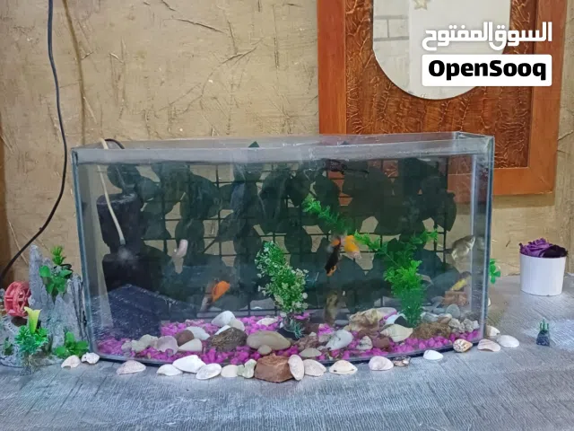 حوض سمك للبيع
