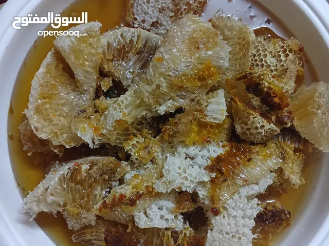 عسل يبياب السدر مال البلاد.. وليس تربية