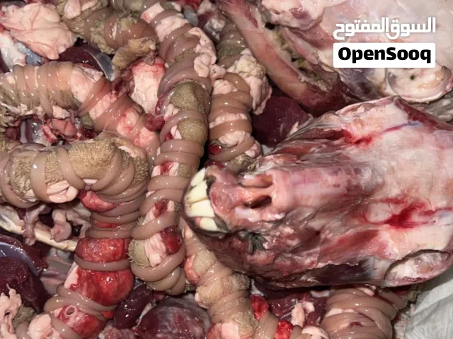 مطلوب ذبيحه فلوسهاا اخر شهر يكون ماتوصل 60 كبش او جدي