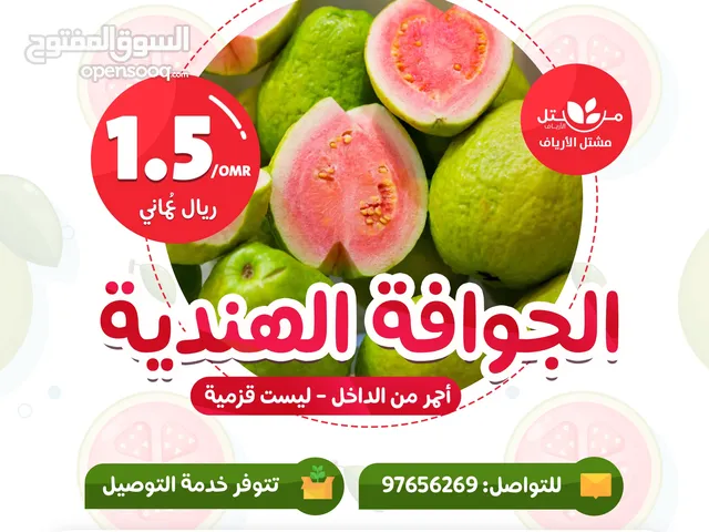 شتلات وأشجار الجوافة من مشتل الأرياف أسعار منافسة الأفضل في السوق  امرود کا درخت  guava