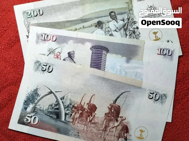 كينيا أنسر شحيح