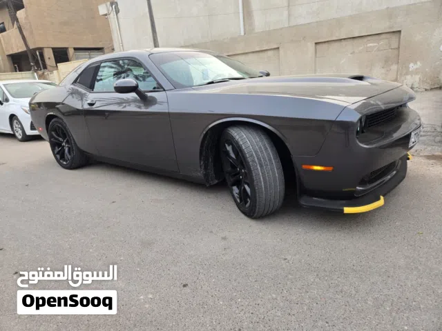 Used Dodge Challenger in Baghdad