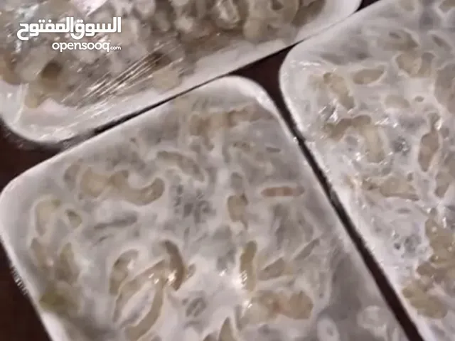 روبيان منضف وتازه وخشن نضيف كل سفري نص كيلو ب5 الف