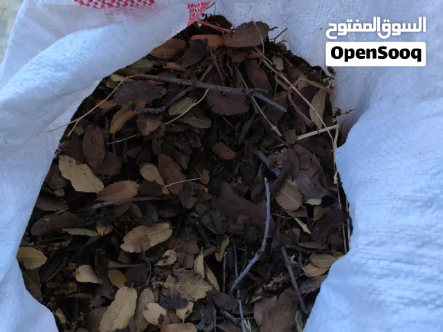 ورق؛ شجر عضو  سماد للا؛ شجار وكافه الزرع
