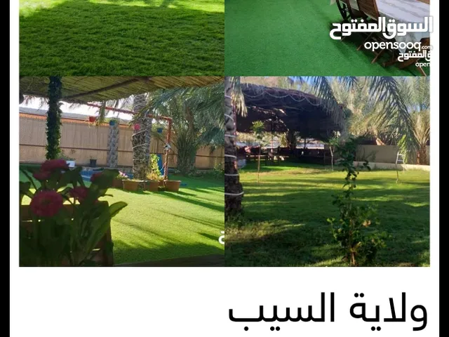 4 Bedrooms Farms for Sale in Muscat Al Jafnayn
