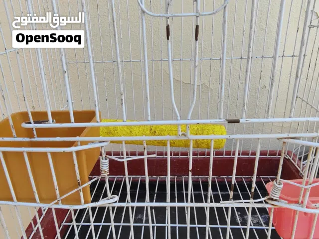 قفص ببغاء مستعمل بس نظيف يصلح لي كوكتيل أو ذره أو بركديلو