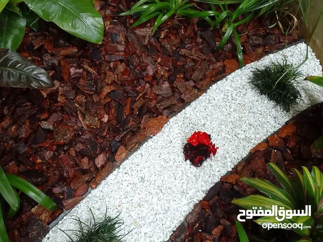 البستنة والتزيين